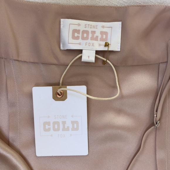 NWT Dusty Rose Stone Cold Fox 100% Silk Slip Dress - 1 (S) - Picture 8 of 10